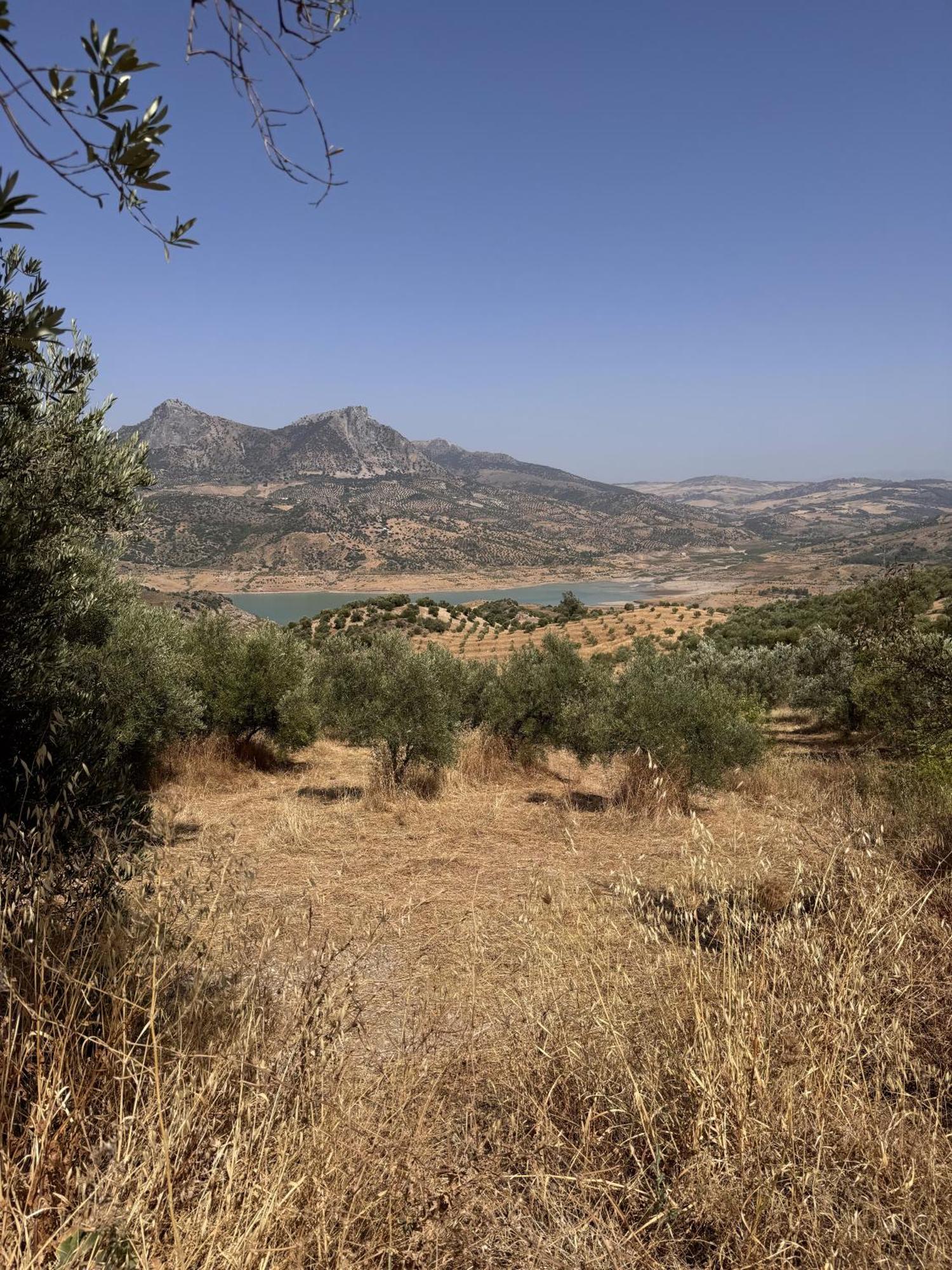 Finca Luca Oliva Саара-де-ла-Сьєрра Екстер'єр фото